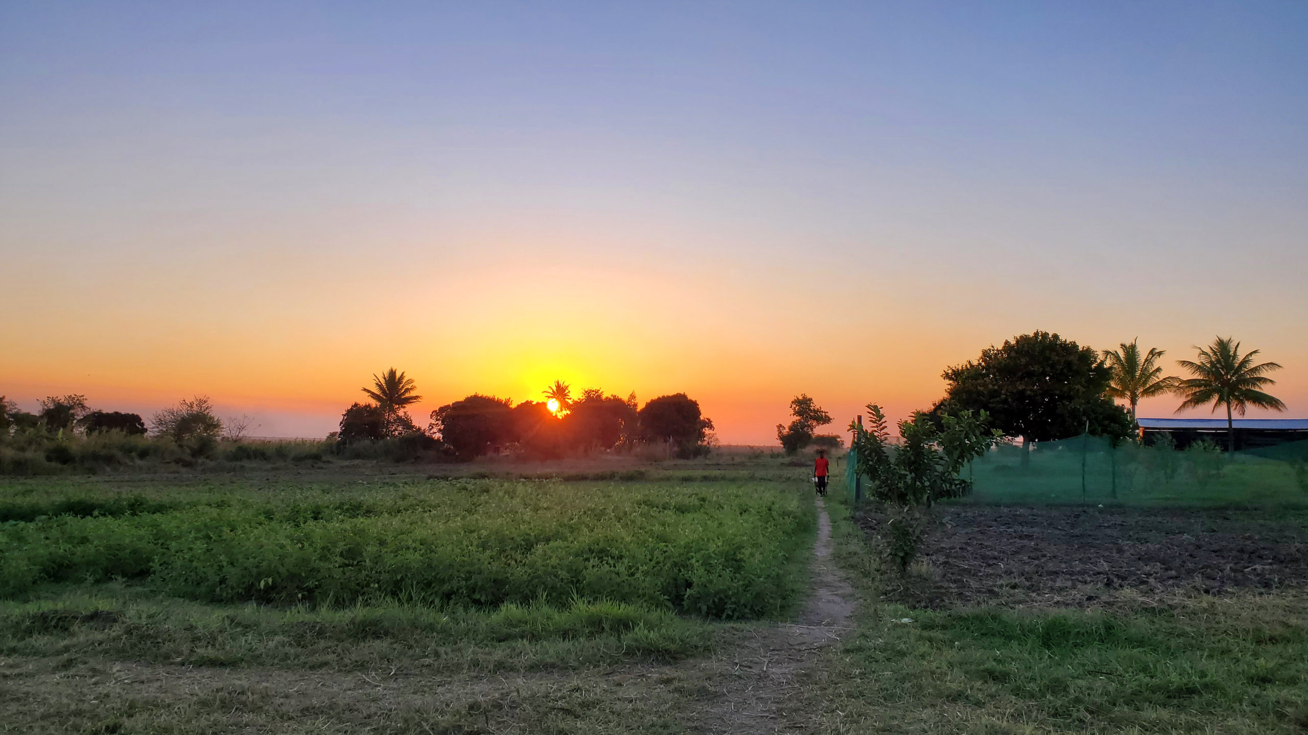 The ministry farm in Mozambique at golden hour