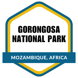Gorongosa National Park — Mozambique, Africa