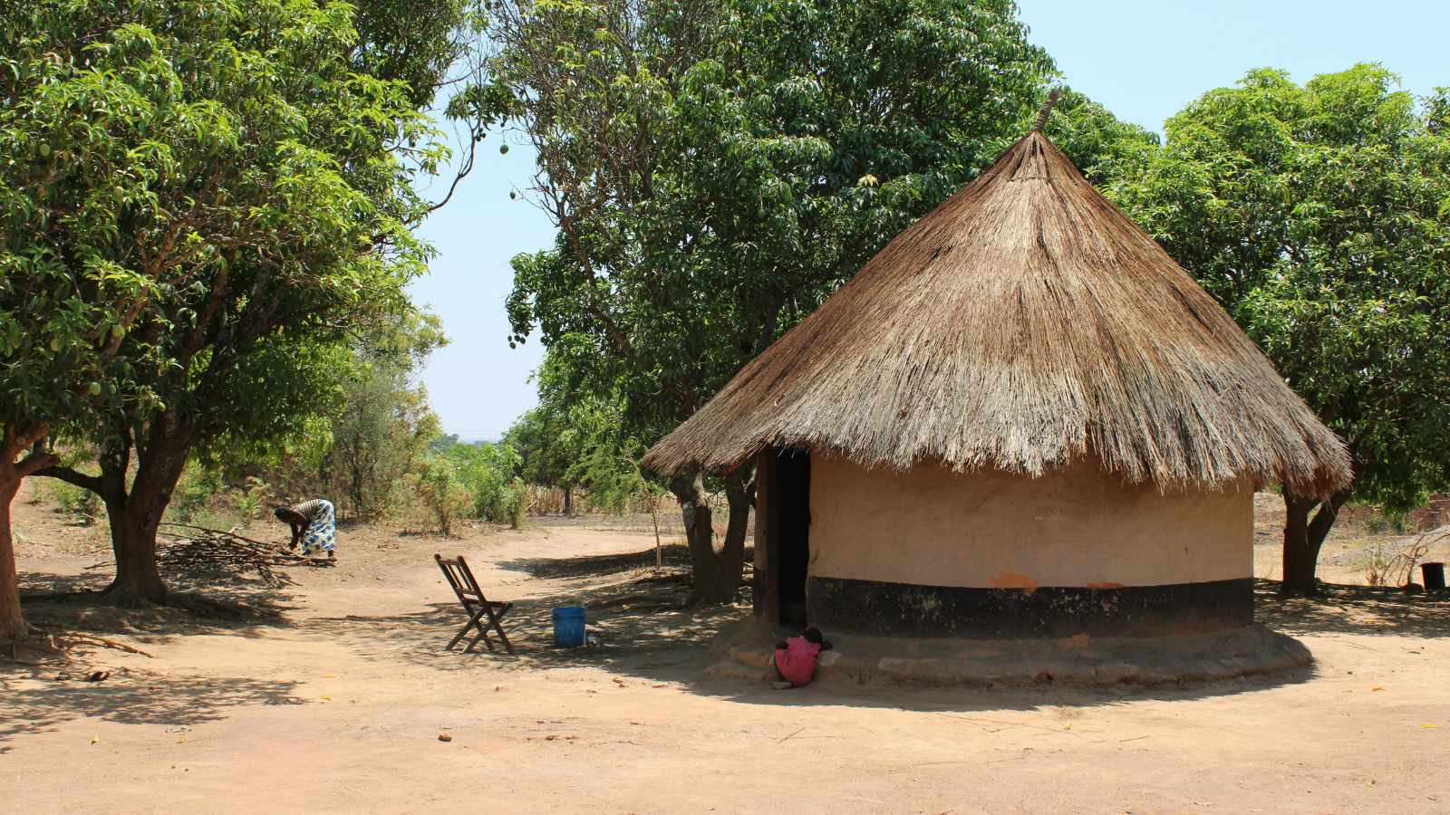 A thatched-roof round home among mango trees in a rural Zambian village