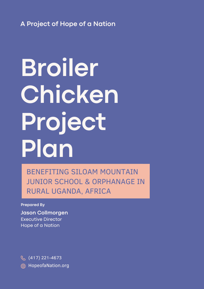 Click to download a detailed project plan
