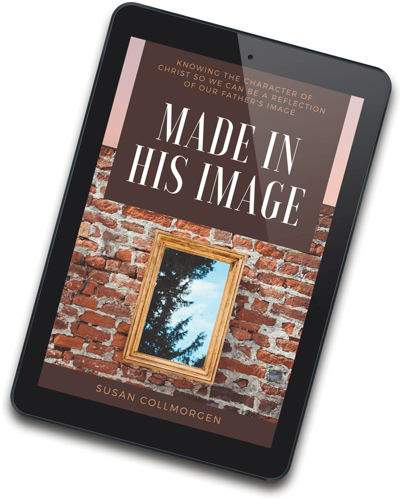 Made in His Image eBook Cover