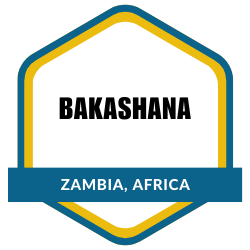 Bakashana in Zambia, Africa